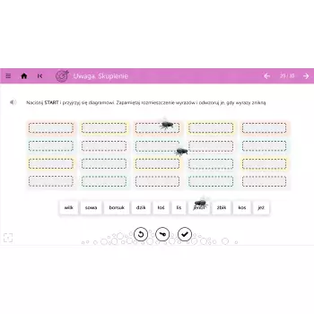 mTalent Koncentracja i pamięć