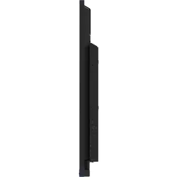 ProLite TE5512MIS-B3AG 55