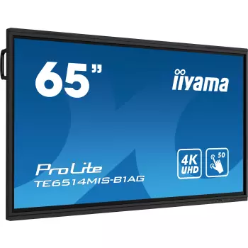 ProLite TE6514MIS-B1AG 65