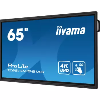 ProLite TE6514MIS-B1AG 65