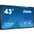 ProLite T4362AS-B1 43