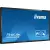ProLite T4362AS-B1 43