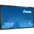 ProLite T5562AS-B1 55