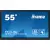 ProLite TE5512MIS-B3AG 55