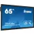 ProLite TE6514MIS-B1AG 65