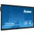 ProLite TE6514MIS-B1AG 65
