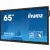 ProLite TE6514MIS-B1AG 65