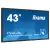 ProLite TF4339MSC-B1AG 43