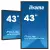ProLite TF4339MSC-B1AG 43