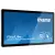 ProLite TF5539UHSC-B1AG 55