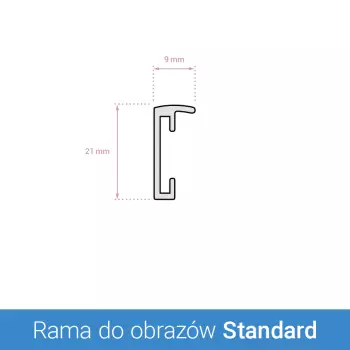 Rama aluminiowa Standard