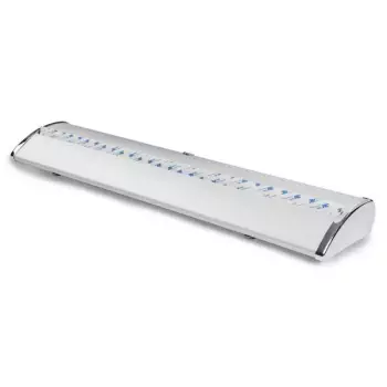 Roll Up Exclusive 150x200