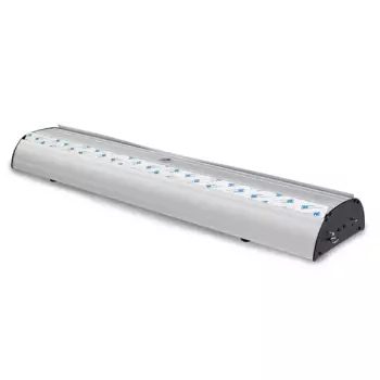 Roll Up Twin 100x200