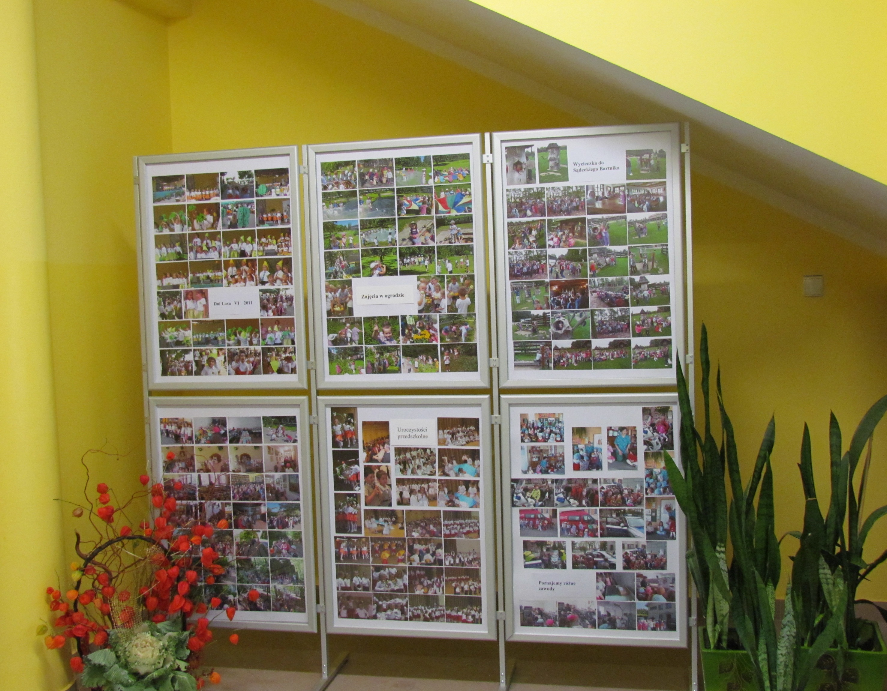 Ścianka ekspozycyjna do szkoły lub biura – prezentacja materiałów i ogłoszeń